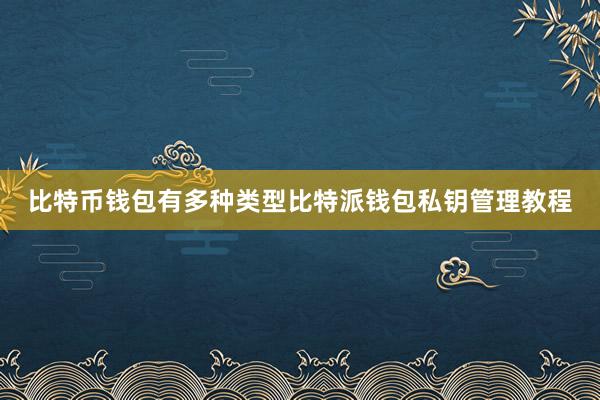 比特币钱包有多种类型比特派钱包私钥管理教程