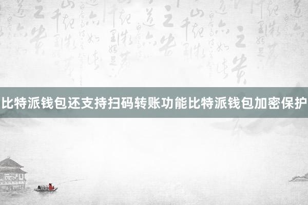 比特派钱包还支持扫码转账功能比特派钱包加密保护