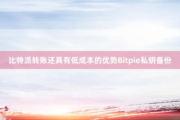 比特派转账还具有低成本的优势Bitpie私钥备份