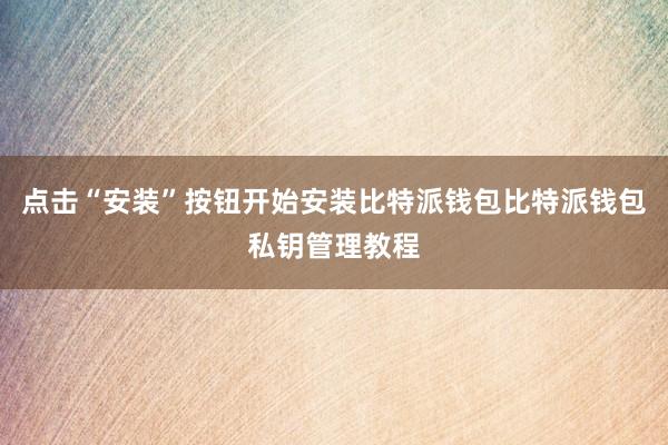 点击“安装”按钮开始安装比特派钱包比特派钱包私钥管理教程