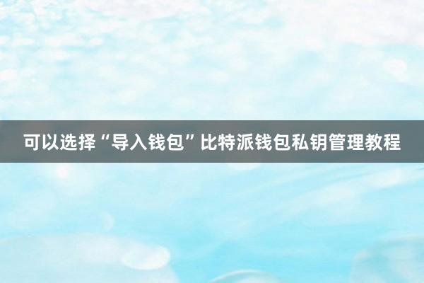 可以选择“导入钱包”比特派钱包私钥管理教程