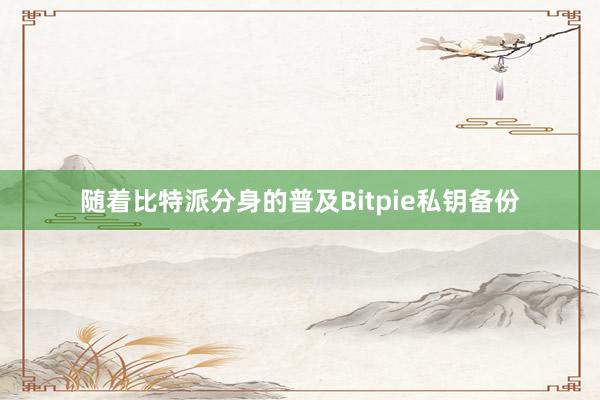 随着比特派分身的普及Bitpie私钥备份