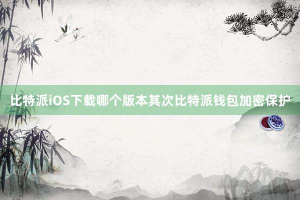 比特派iOS下载哪个版本其次比特派钱包加密保护