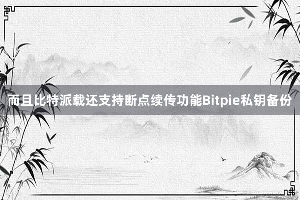 而且比特派载还支持断点续传功能Bitpie私钥备份