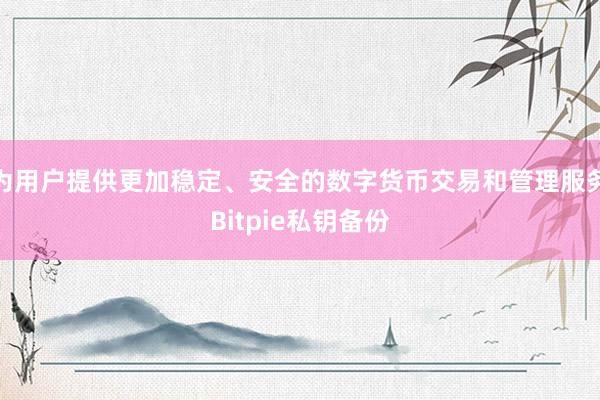 为用户提供更加稳定、安全的数字货币交易和管理服务Bitpie私钥备份