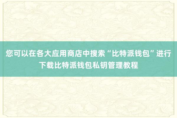 您可以在各大应用商店中搜索“比特派钱包”进行下载比特派钱包私钥管理教程