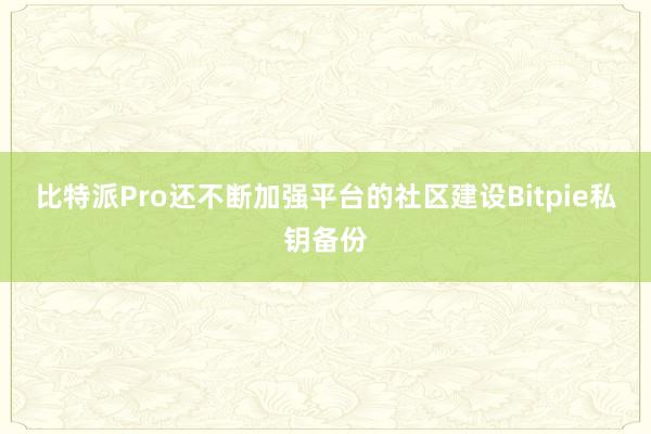 比特派Pro还不断加强平台的社区建设Bitpie私钥备份