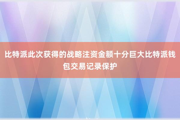 比特派此次获得的战略注资金额十分巨大比特派钱包交易记录保护