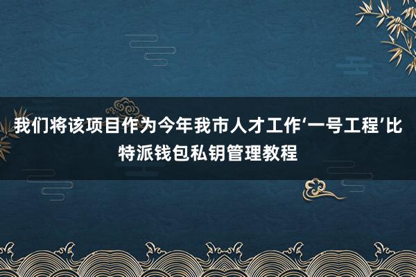 我们将该项目作为今年我市人才工作‘一号工程’比特派钱包私钥管理教程