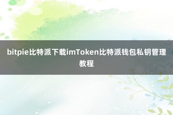 bitpie比特派下载imToken比特派钱包私钥管理教程