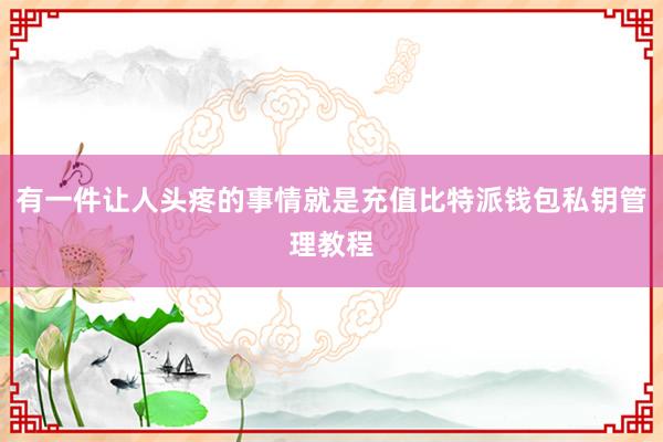 有一件让人头疼的事情就是充值比特派钱包私钥管理教程