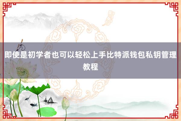 即使是初学者也可以轻松上手比特派钱包私钥管理教程