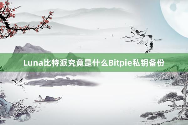 Luna比特派究竟是什么Bitpie私钥备份