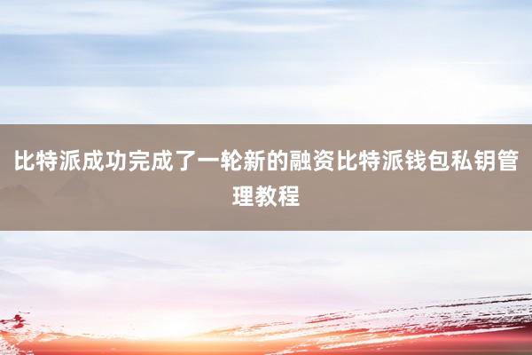 比特派成功完成了一轮新的融资比特派钱包私钥管理教程