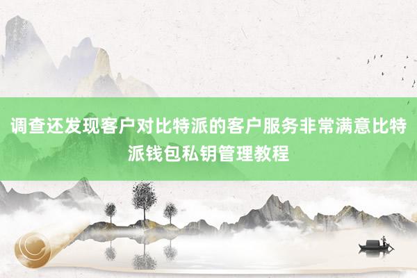 调查还发现客户对比特派的客户服务非常满意比特派钱包私钥管理教程