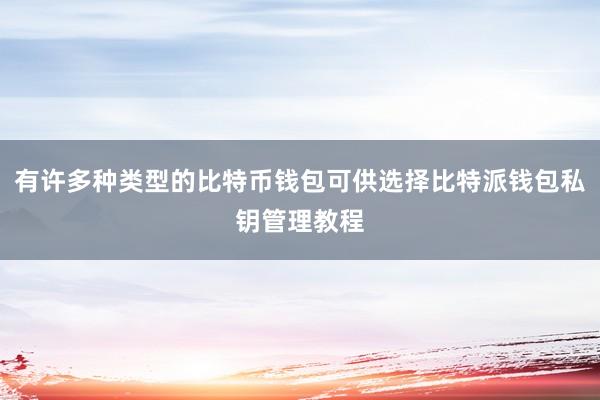 有许多种类型的比特币钱包可供选择比特派钱包私钥管理教程