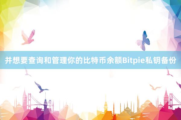 并想要查询和管理你的比特币余额Bitpie私钥备份