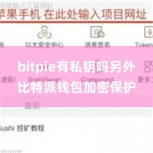 bitpie有私钥吗另外比特派钱包加密保护