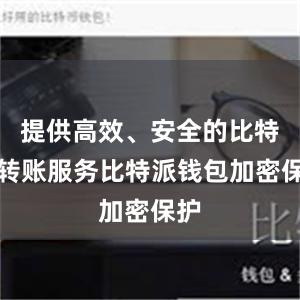 提供高效、安全的比特币转账服务比特派钱包加密保护