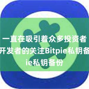 一直在吸引着众多投资者和开发者的关注Bitpie私钥备份