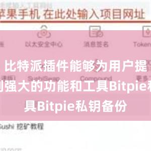 比特派插件能够为用户提供一系列强大的功能和工具Bitpie私钥备份