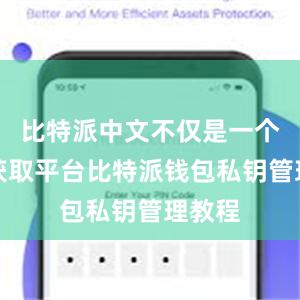 比特派中文不仅是一个信息获取平台比特派钱包私钥管理教程