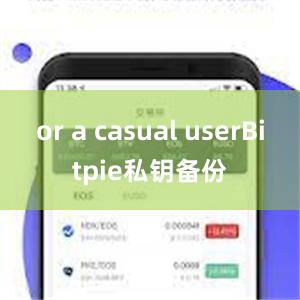 or a casual userBitpie私钥备份