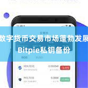 数字货币交易市场蓬勃发展Bitpie私钥备份